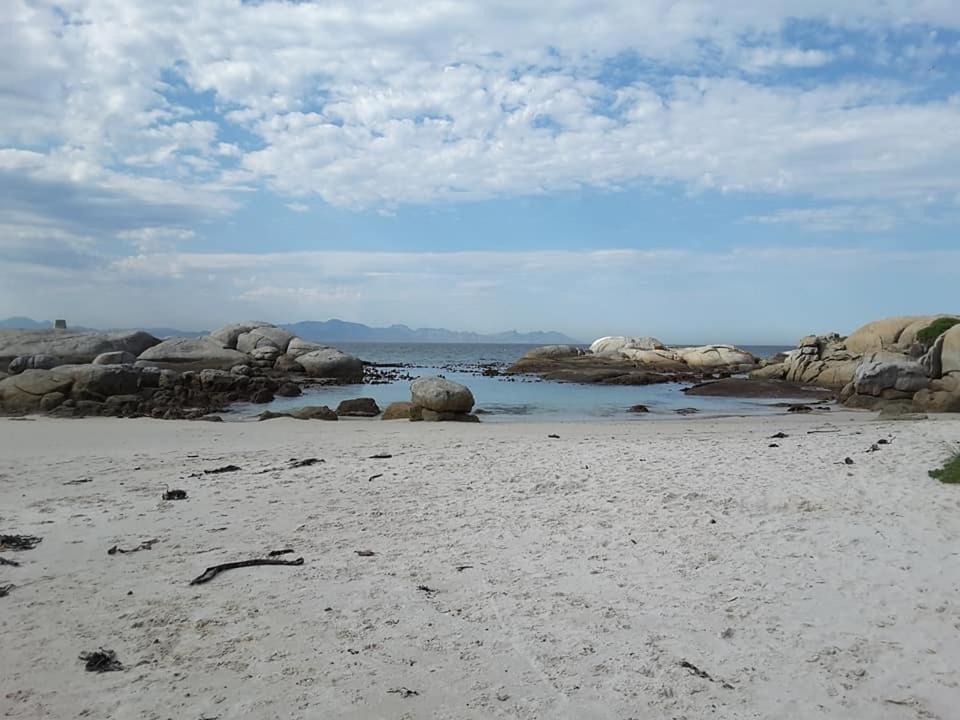 Porcupine Walk Apartment Simon's Town Bagian luar foto