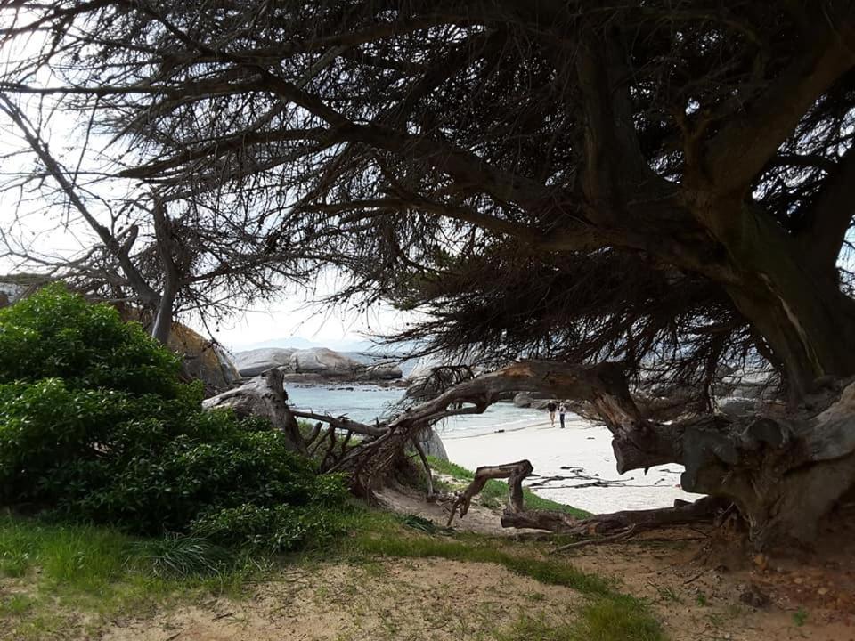 Porcupine Walk Apartment Simon's Town Bagian luar foto