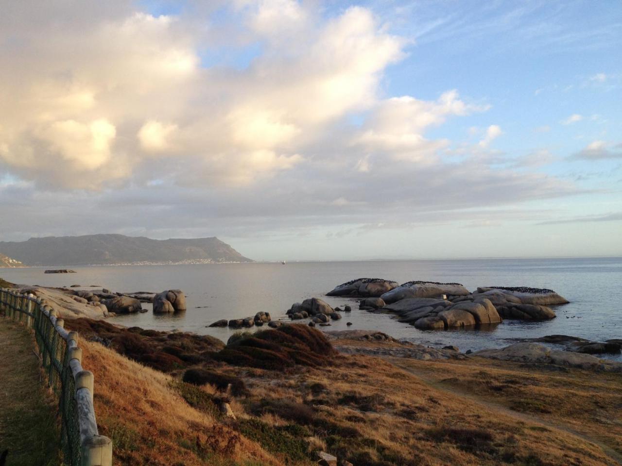 Porcupine Walk Apartment Simon's Town Bagian luar foto
