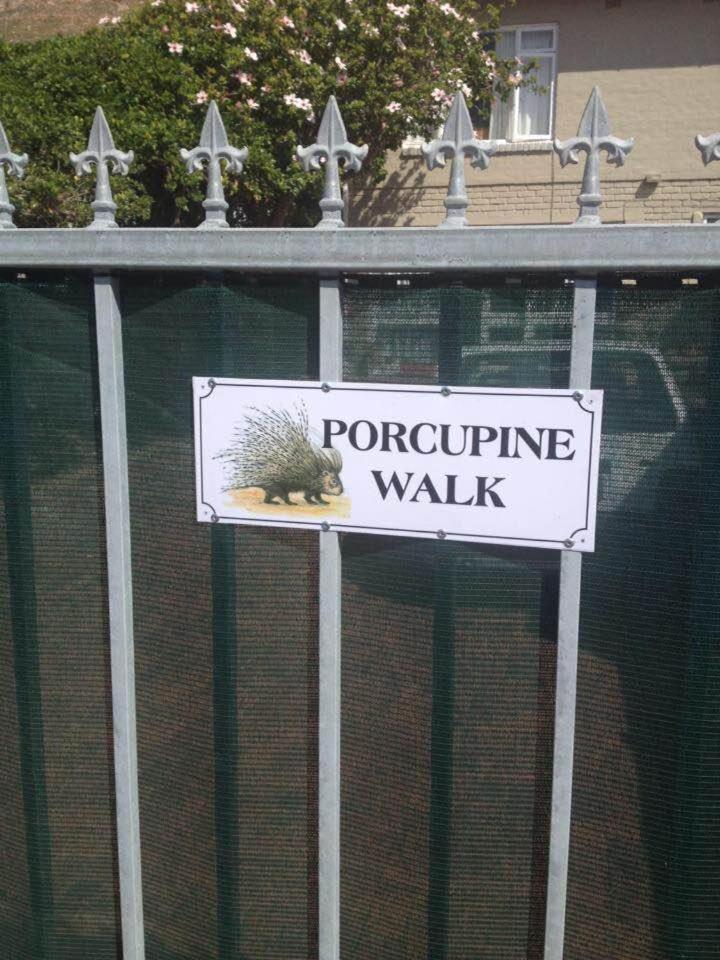 Porcupine Walk Apartment Simon's Town Bagian luar foto