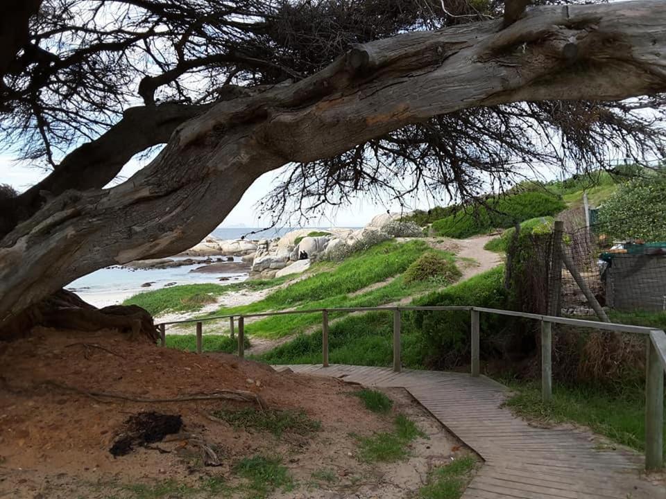 Porcupine Walk Apartment Simon's Town Bagian luar foto