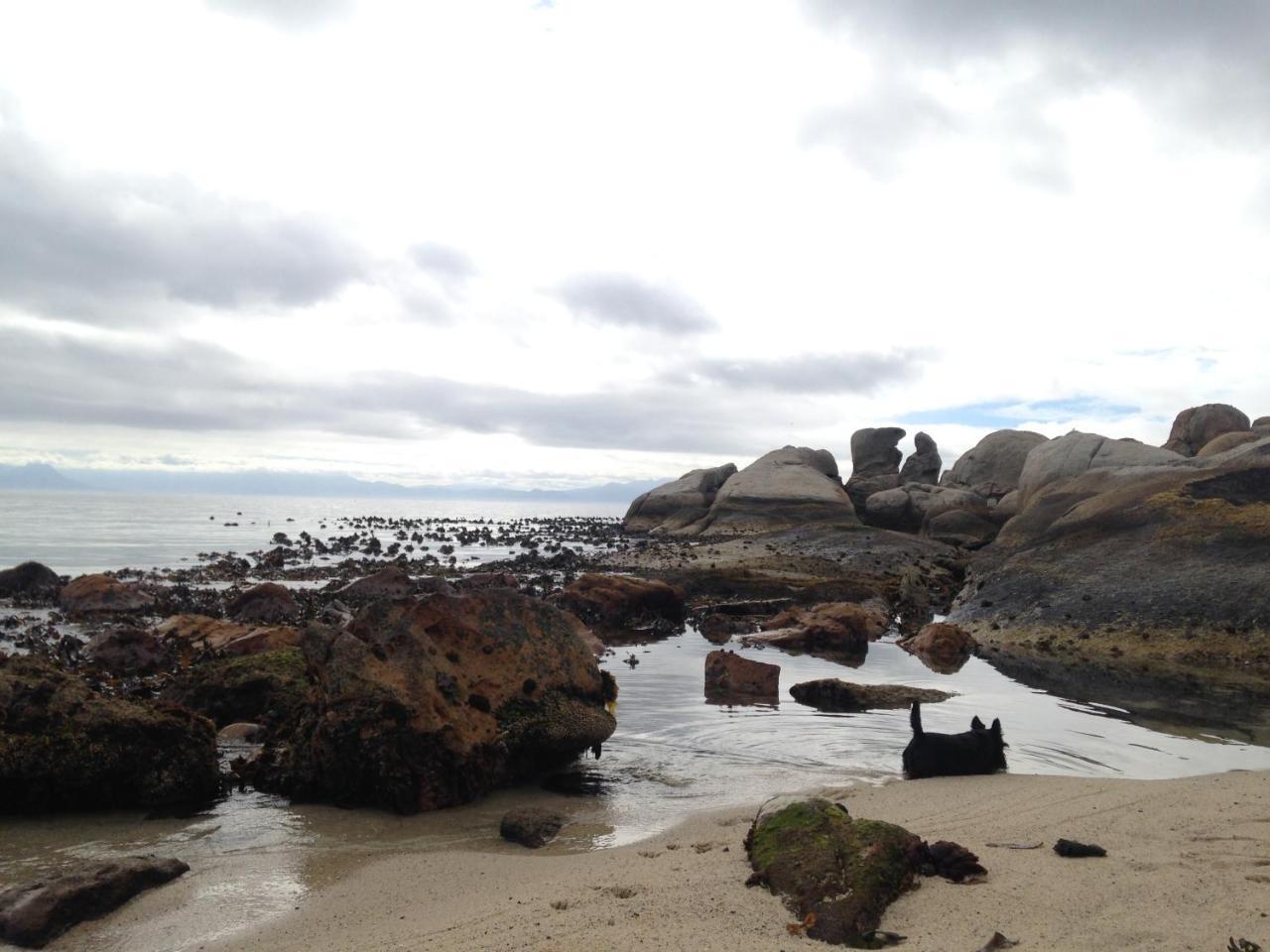 Porcupine Walk Apartment Simon's Town Bagian luar foto